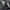 Rain Speed - Maniac Line For Car Detailing