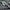 Rain Speed - Maniac Line For Car Detailing